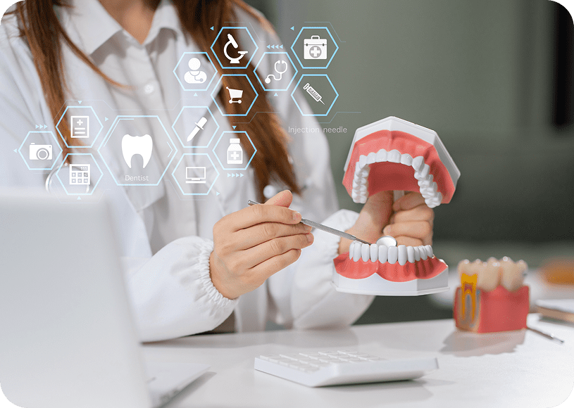 Dental model demonstration with dentist tools